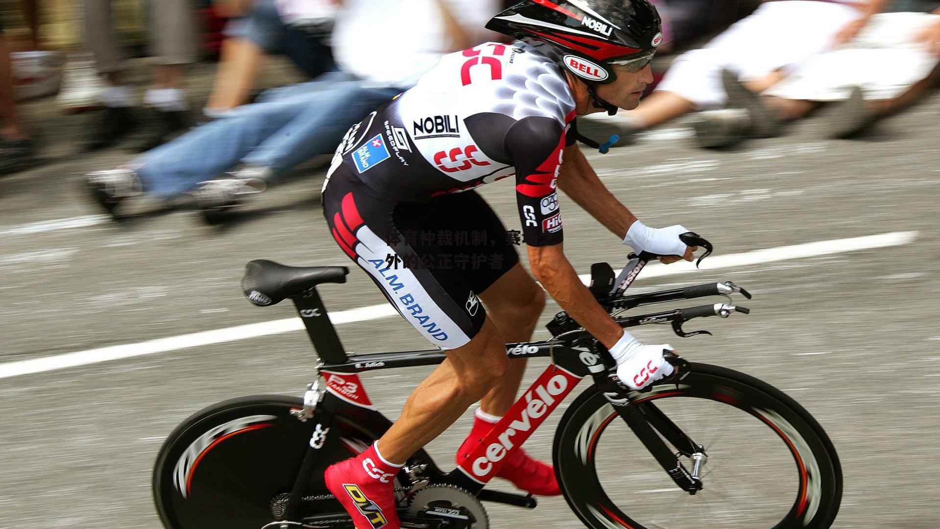 pg模拟器试玩入口|体育仲裁机制，赛场之外的公正守护者